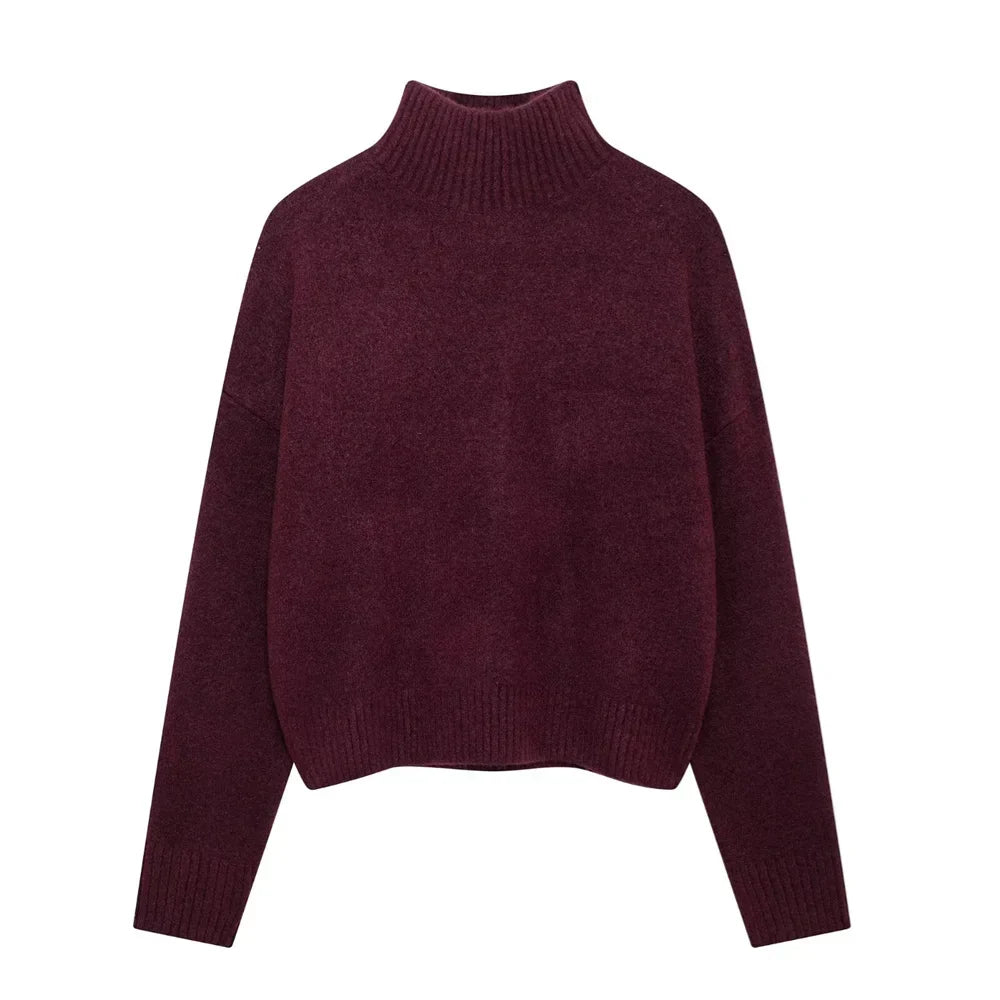 Vivian | Burgunderfarbener Pullover mit hohem Kragen 
