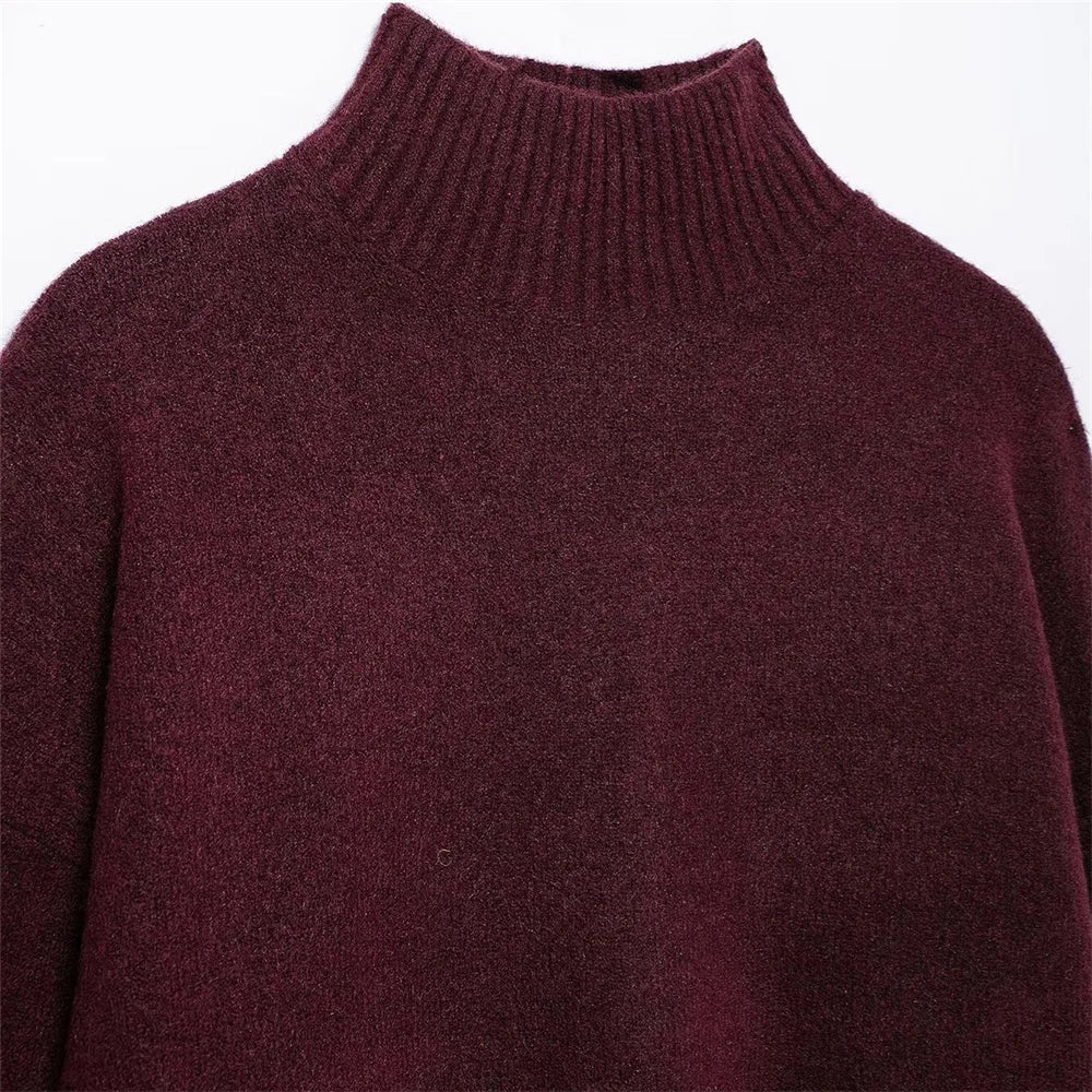 Vivian | Burgunderfarbener Pullover mit hohem Kragen 