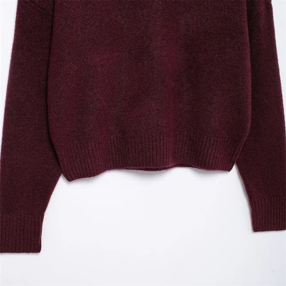 Vivian | Burgunderfarbener Pullover mit hohem Kragen 