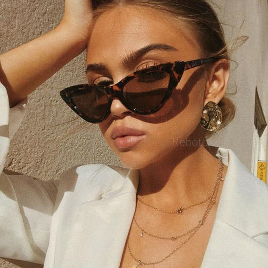 Gafas de sol de gato